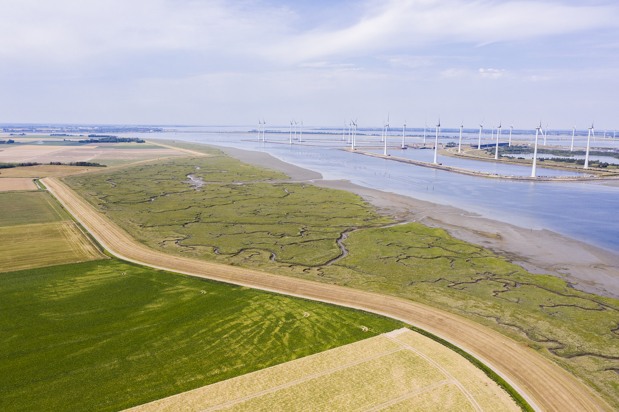 De scheiding tussen zee en kust. Op het beeld akkerland, een dijk, slik wat zichtbaar is door laag water, de zee en langs de kustlijn staan nog windmolens. Bauwe lucht met sluier bewolking.