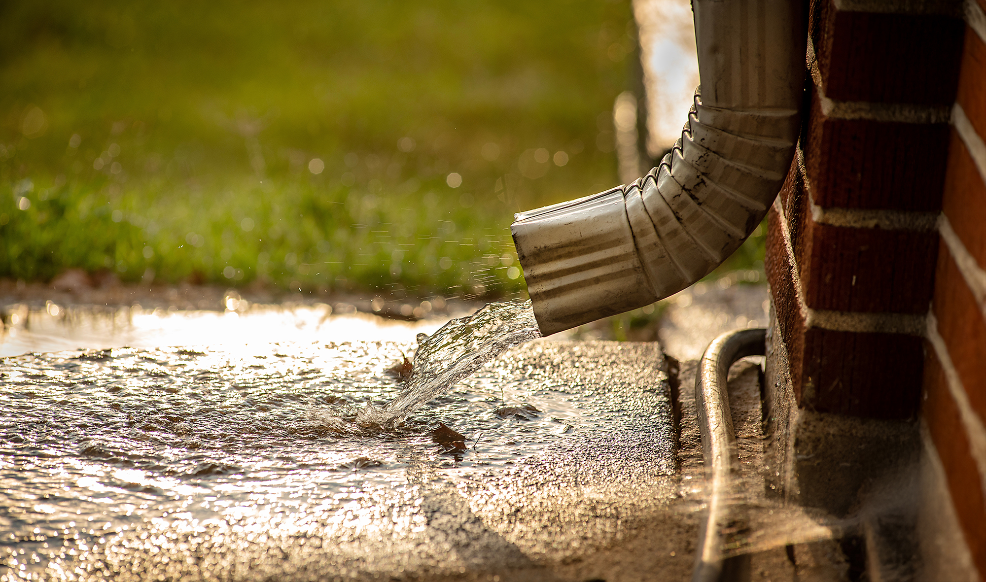 Afgekoppelde regenpijp. Water stroomt de tuin in.