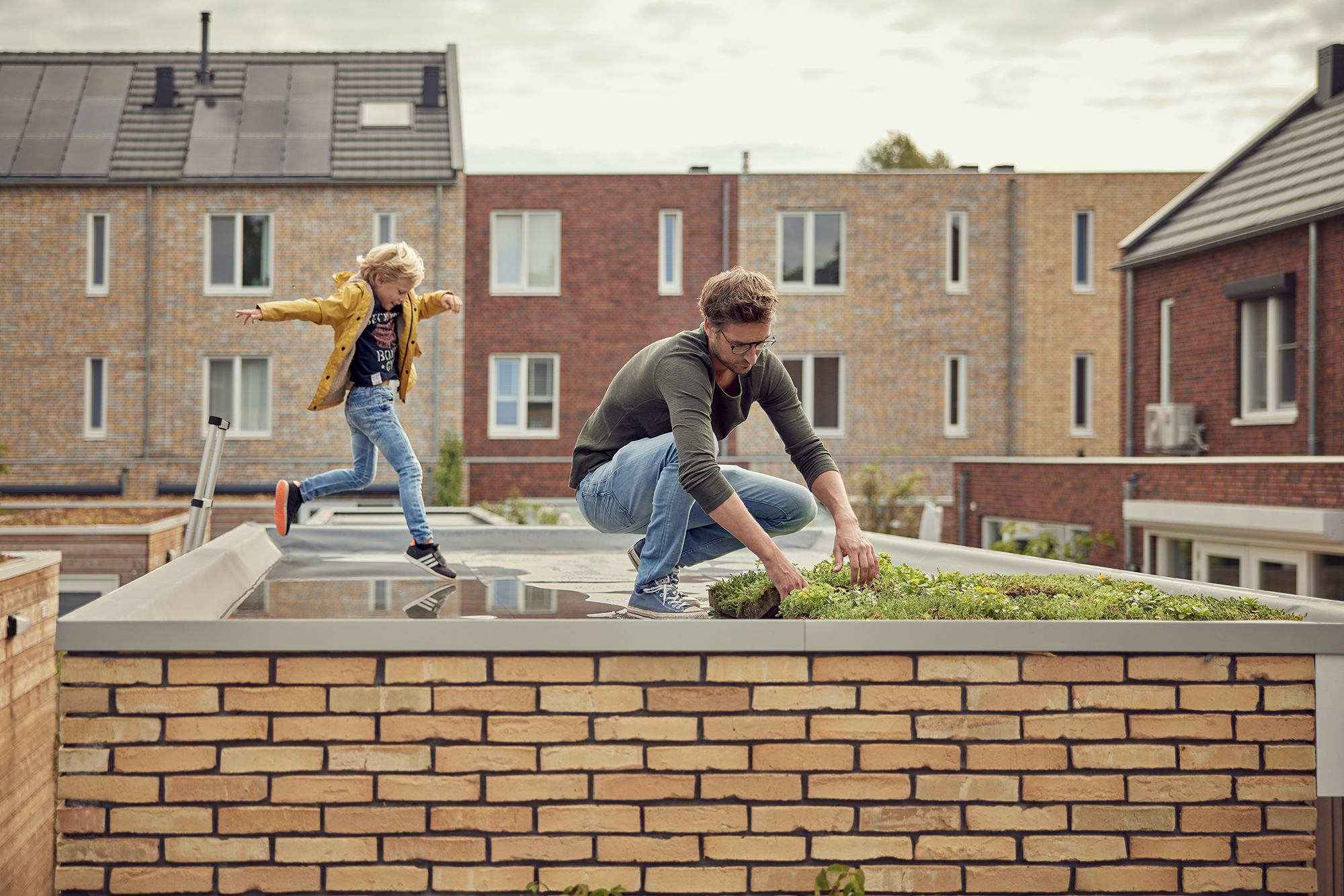 Groen sedum dak wordt aagelegd door man op een schuurtje in een nieuwbouwwijk