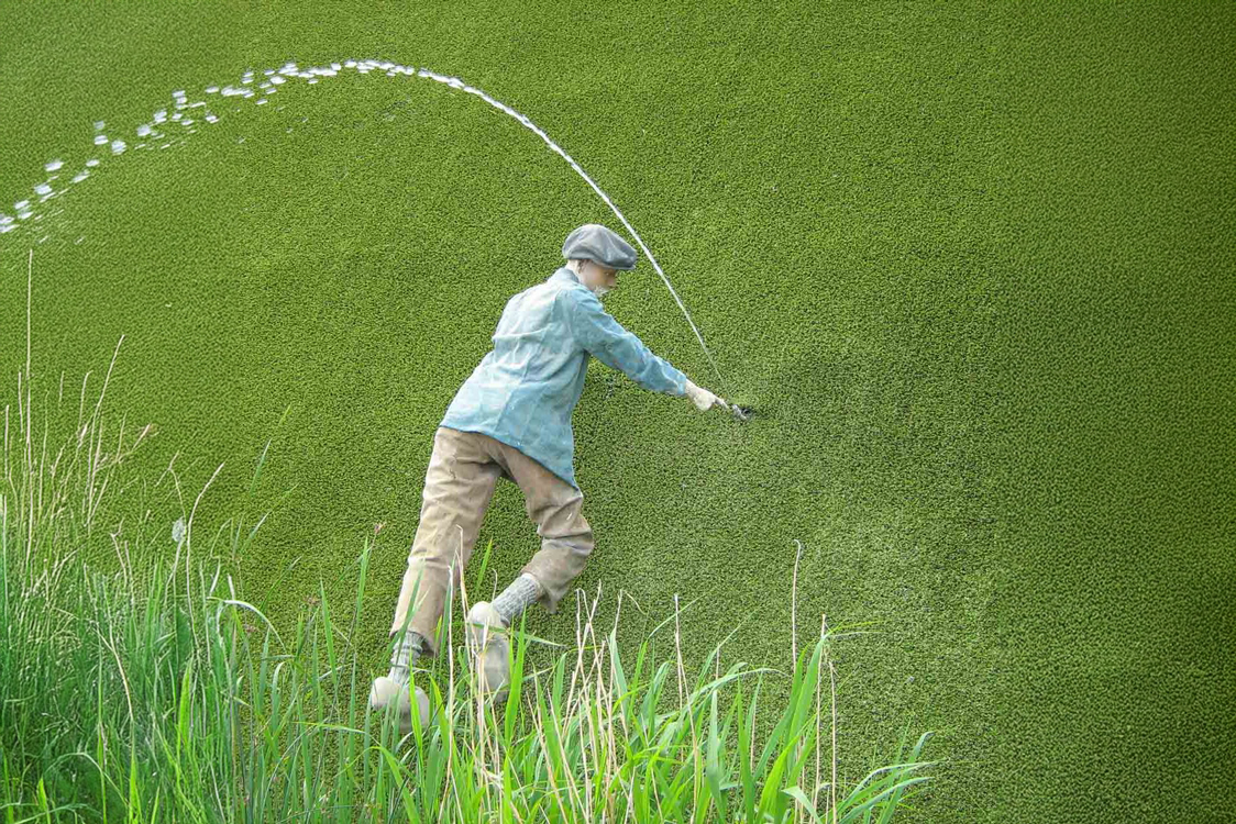 Beeld van Hans of Hansje Brinker bij Madurodam