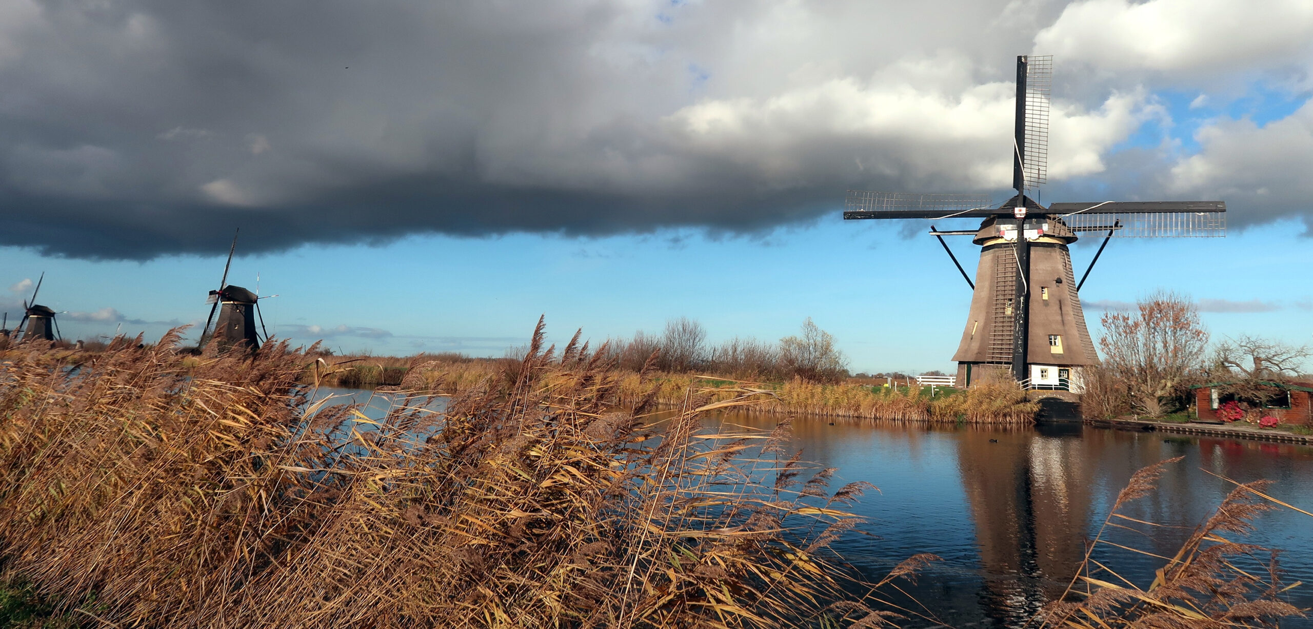 Kinderdijk in Nederland. Aan de vaart staan een rij molens. Polderlandschap met veel riet.