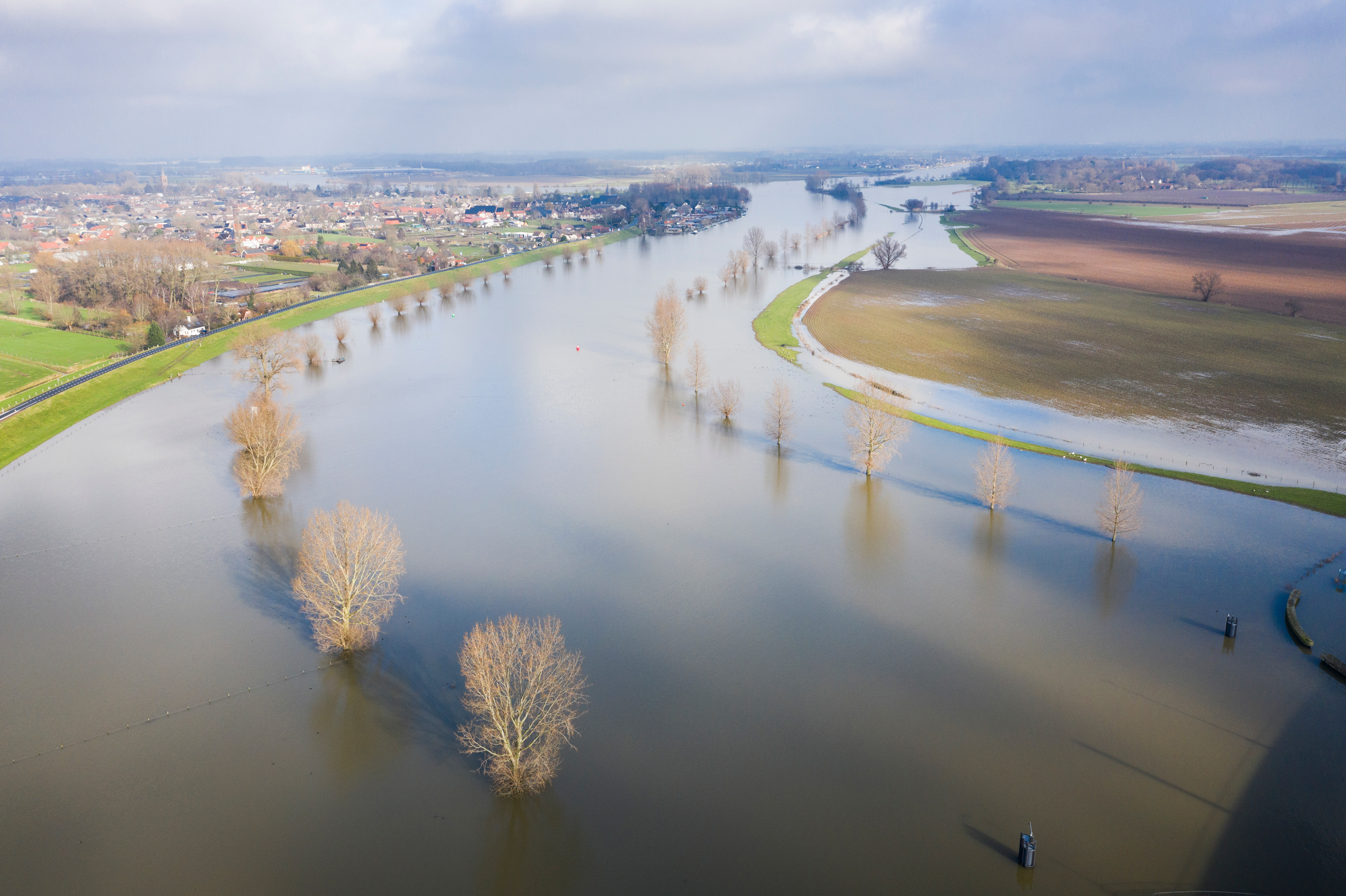 Luchtfoto van de rivier de Waal met overstroomde uiterwaarden en kale bomen in het water. Deze situatie illustreert het programma ‘Ruimte voor de Rivieren’ dat werd ingevoerd na de Watersnood 1995.